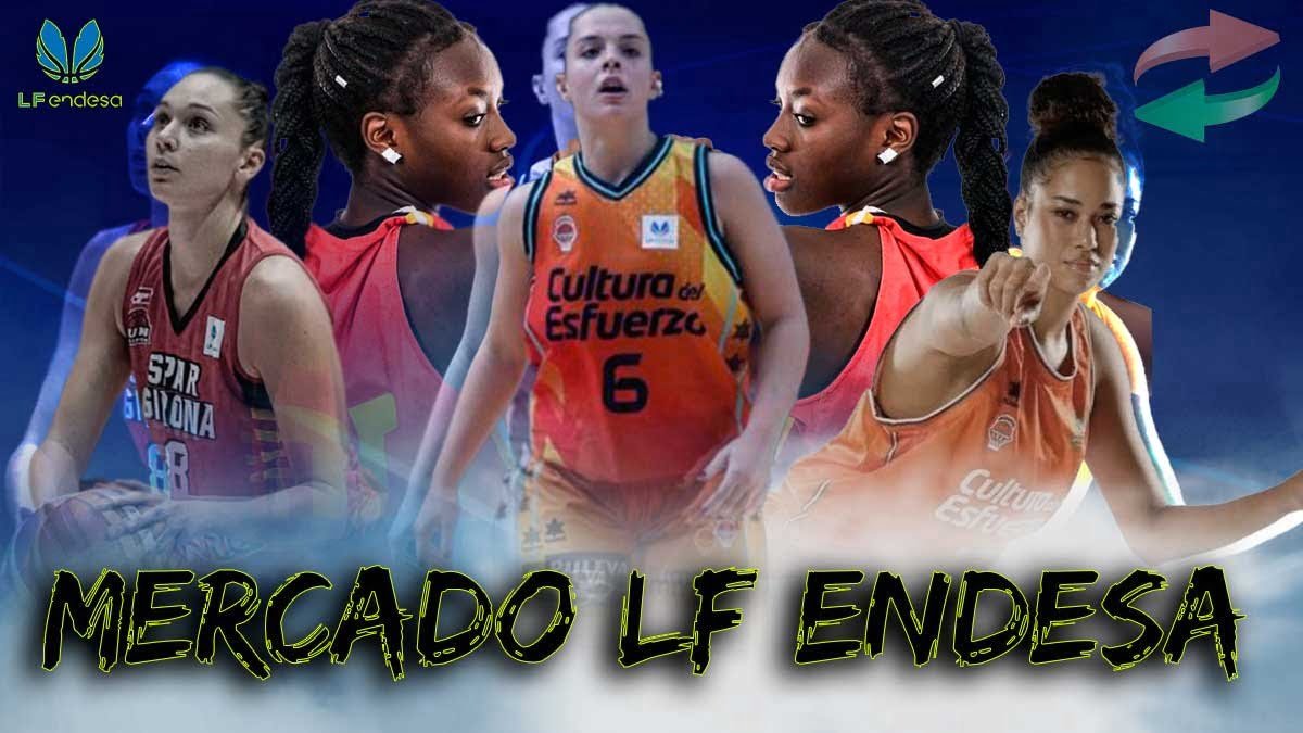 Tabla de mercado – Liga Femenina Endesa 2024/2025