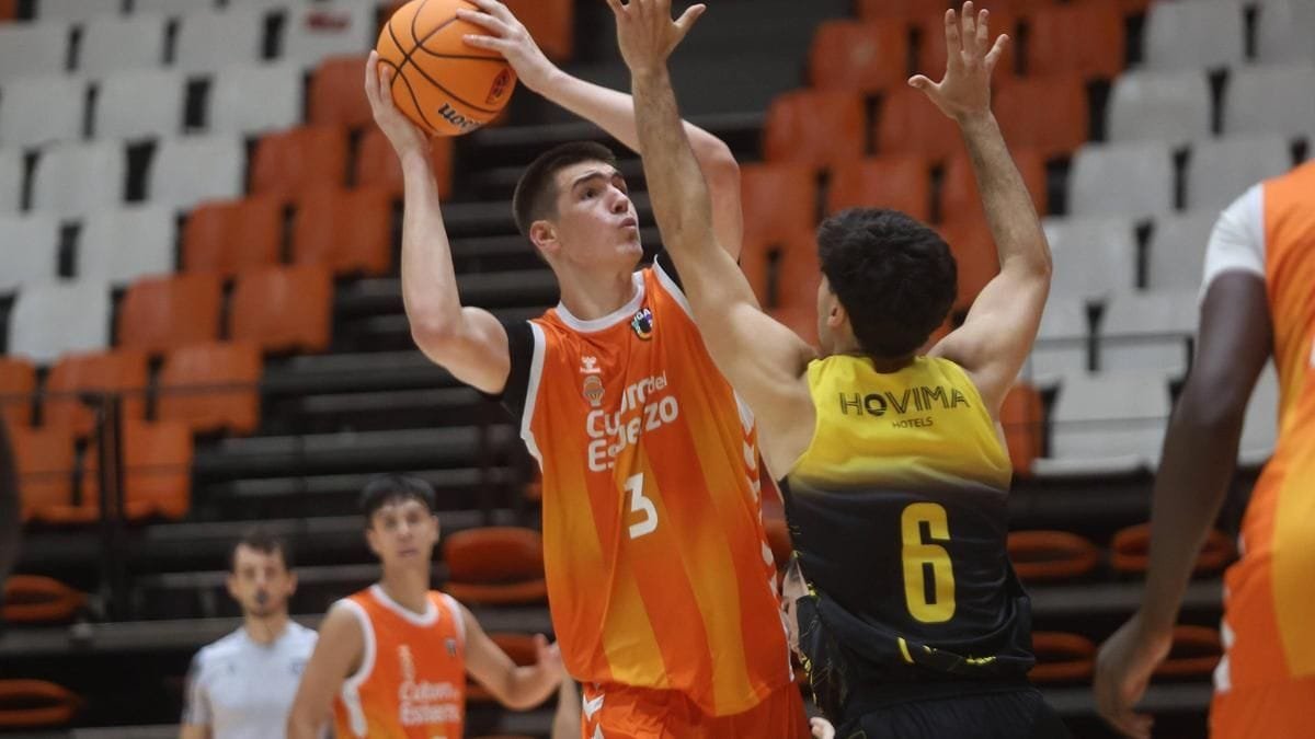 Dzepina Valencia Basket NBA