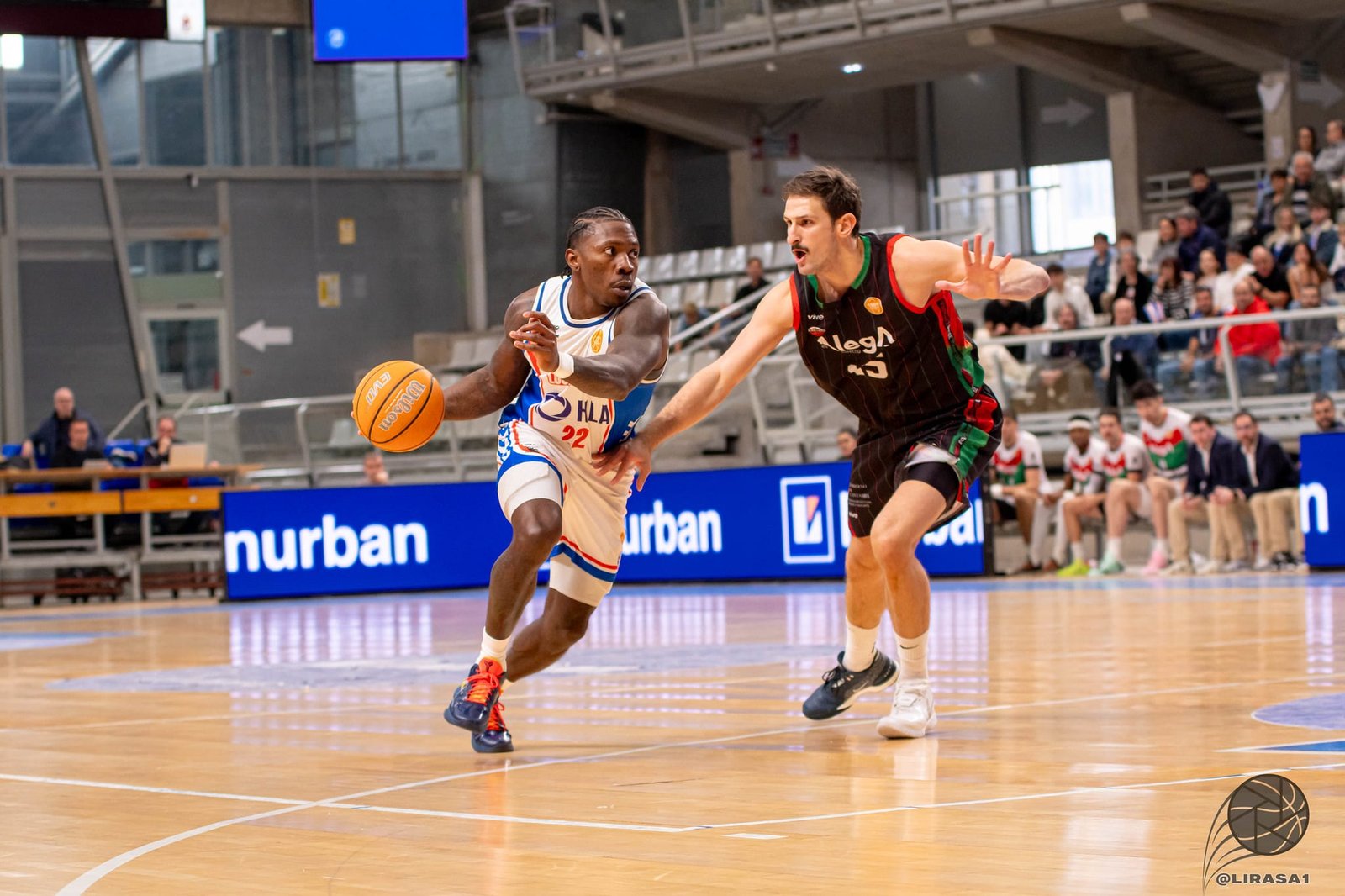 Galería – El HLA Alicante no para de crecer y se afianza en la zona alta